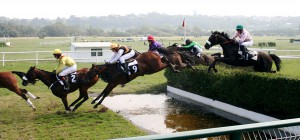 1200px-steeplechase_-1257926029-.jpg